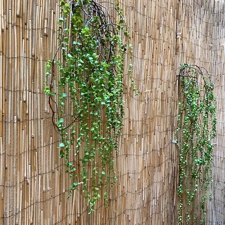 Mon Art Apartment Logrono Exterior photo